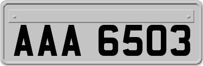 AAA6503