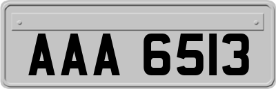 AAA6513