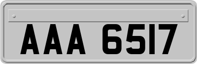 AAA6517