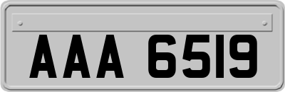 AAA6519