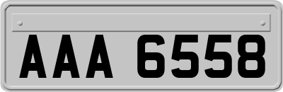 AAA6558