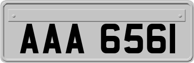 AAA6561