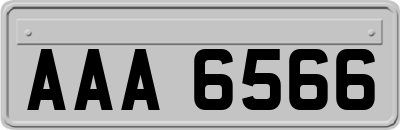 AAA6566