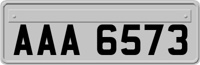 AAA6573