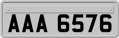 AAA6576