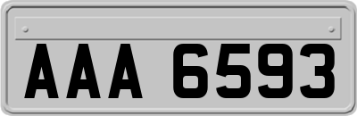 AAA6593