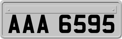 AAA6595