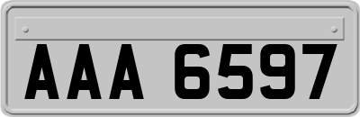 AAA6597