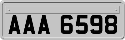 AAA6598