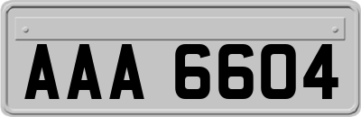 AAA6604