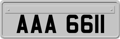 AAA6611