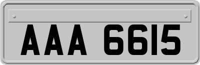 AAA6615