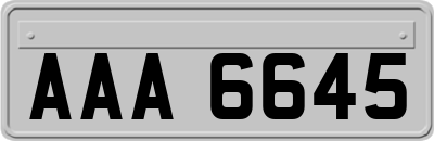 AAA6645