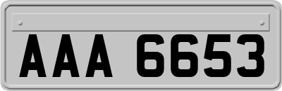 AAA6653