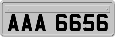 AAA6656