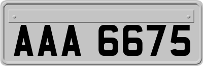 AAA6675