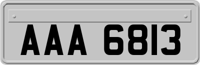 AAA6813