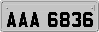 AAA6836