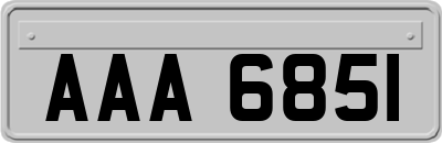 AAA6851