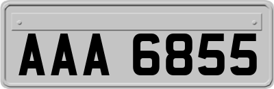 AAA6855