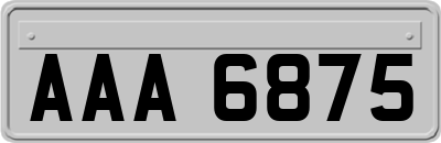 AAA6875