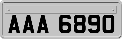 AAA6890