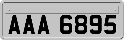 AAA6895