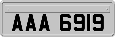 AAA6919