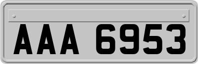 AAA6953