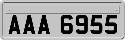 AAA6955