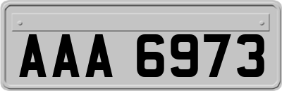 AAA6973