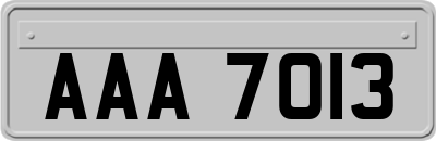 AAA7013