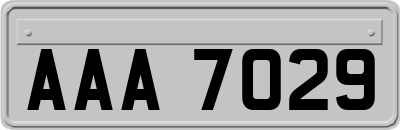 AAA7029