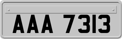 AAA7313