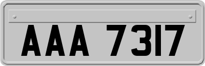 AAA7317