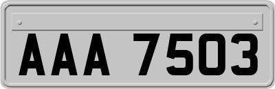 AAA7503