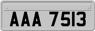 AAA7513