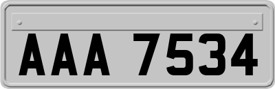 AAA7534