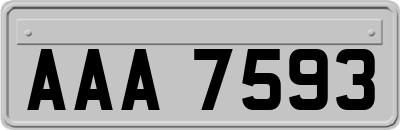 AAA7593