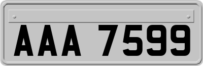 AAA7599