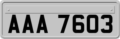 AAA7603