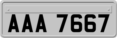 AAA7667