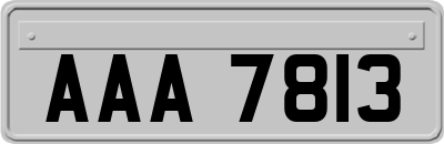 AAA7813