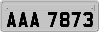 AAA7873