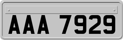 AAA7929