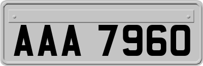 AAA7960