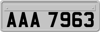 AAA7963