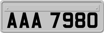 AAA7980