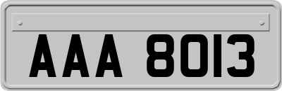 AAA8013