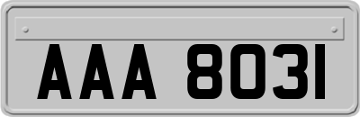 AAA8031